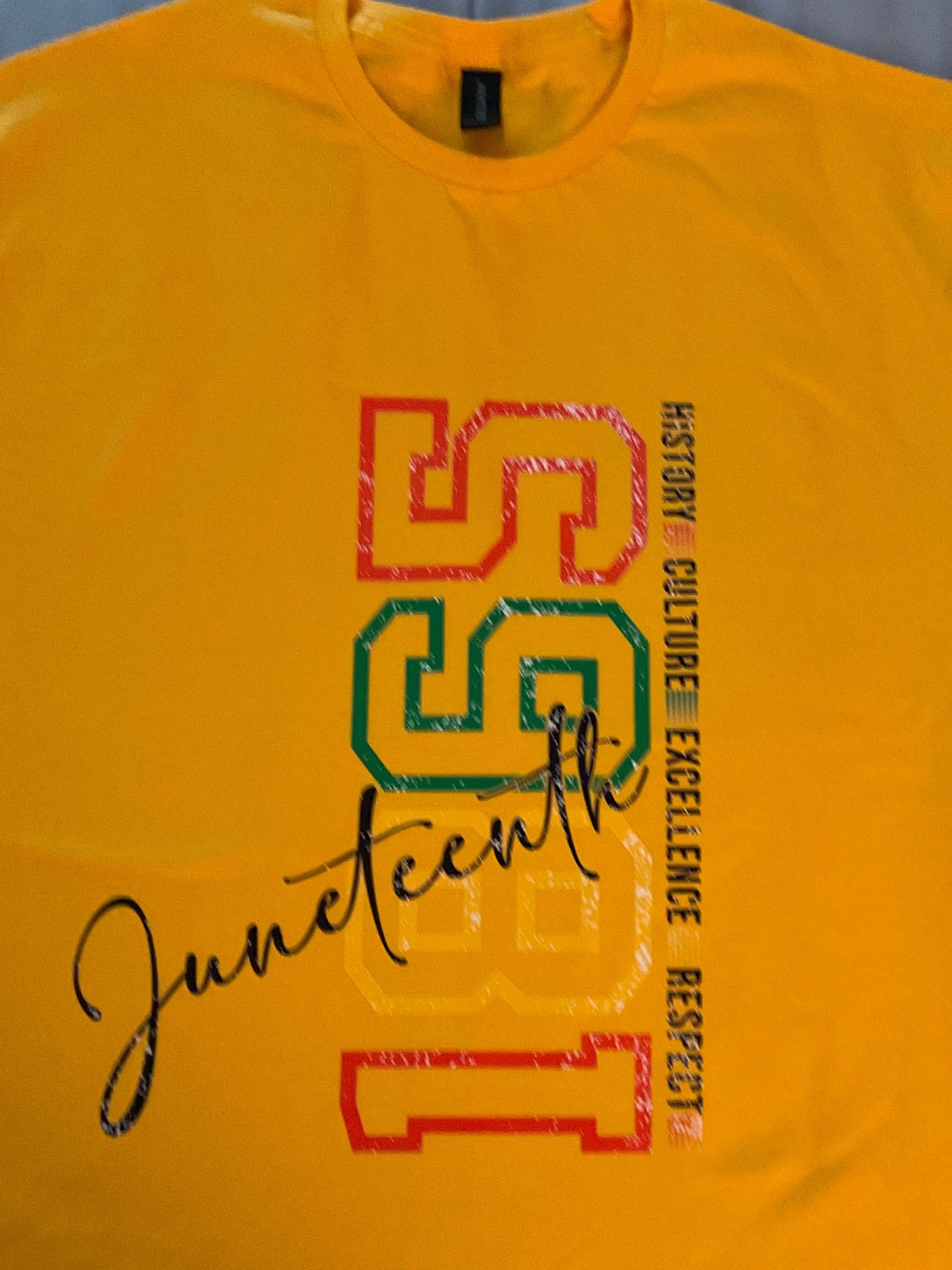 Juneteenth 1865 Big Letter T-Shirt