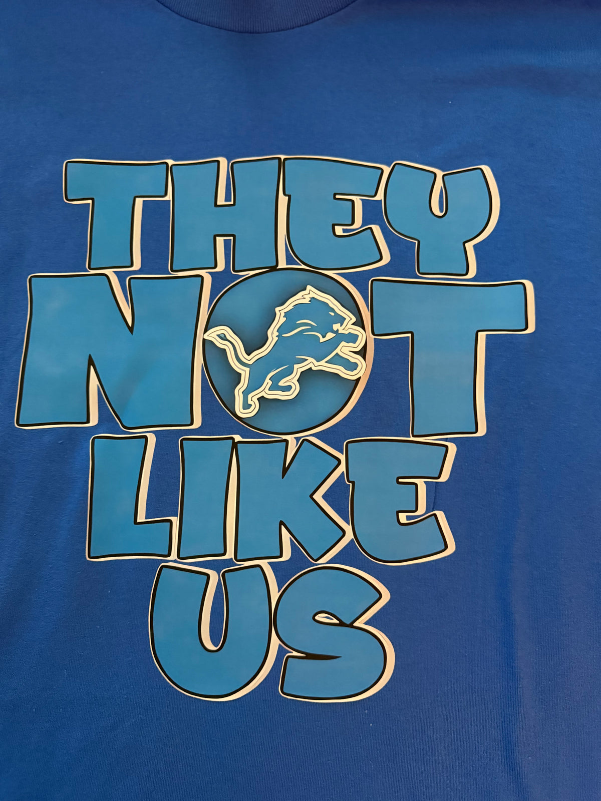 Lions They Not Like  Us Sports T-Shirt